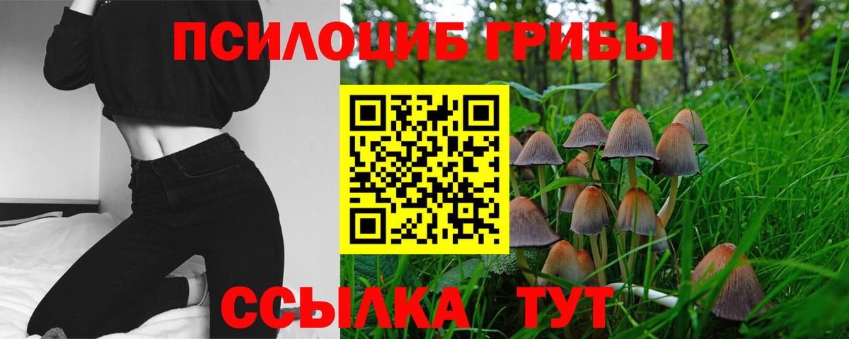наркота  Вход с VPN  Янаул  Галлюциногенные грибы мухоморы  Галлюциногенные грибы прущие грибы 