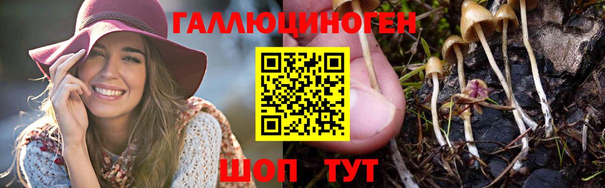 Галлюциногенные грибы Magic Shrooms Янаул
